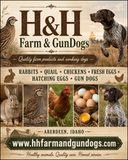 H&H Adult Quail Supplement Formula | Standard Daily Feed Topper for Coturnix Quail